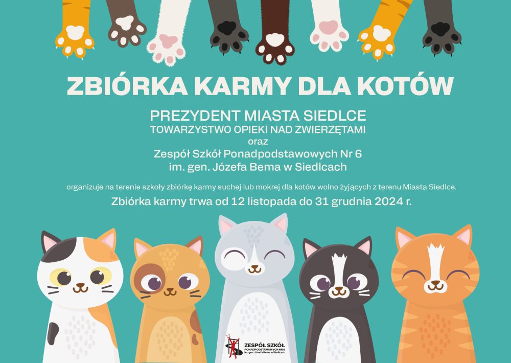 Zbiórka dla kotów