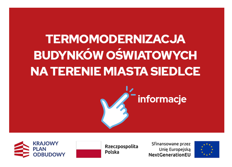 Termomodernizacja